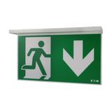 NexiTech LED opal szyba strzałka w dół / zaślepka 30m ISO7010 NEXI-PLEXO-DB EATON