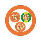 PRZEWÓD STEROWNICZY PRZEWÓD STEROWNICZY OLFLEX_CLASSIC_110_ORANGE_2X1 0019700 LAPP KABEL