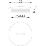 108, ZAŚLEPKA GWINTOW.PG13,5 TW.SZ