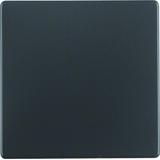 BERKER Q.x Klawisz do łącznika 1-klawiszowego antracyt aksamit 16206086 HAGER