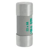 CYLINDRICAL FUSE 22 x 58 125A AM 400V AC Wkładka cylindryczna 22 x 58mm 125A AM 400V AC C22M125 EATO