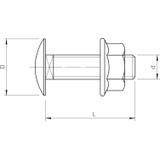 FRSB 6x20 VA4301, Śruba z łbem grzybkowym