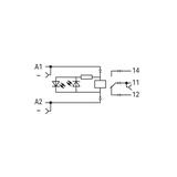 Moduł przekaźnikowy AC 24V /15szt./ 788-541 WAGO