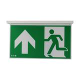 NexiTech LED szyba strzałka do góry / strzałka do góry 30m ISO7010 NEXI-PLEX-UU EATON