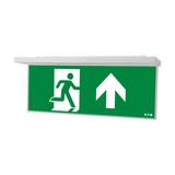 NexiTech LED opal szyba strzałka do góry/ zaślepka 20m ISO7010 NEXI-PLEXO-20-UB EATON