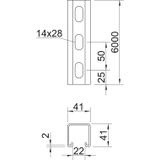 MS 41 L 6M 2 FT, Szyna profilowa