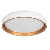 SOLN LED CCTDIM W/G