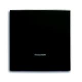 BASIC55 Element obsługi z lampką neonową. czarny-chateau