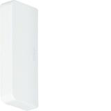 tehalit.LF Końcówka 18x45mm biały LF1804569016 HAGER