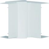 tehalit.LFF Kąt wewnętrzny regulowany 40x110mm, jasnoszary LFF4011047035 HAGER