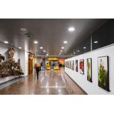 Oprawa DOWNLIGHT ALU DALI DN150 14W 3000K WT IP44