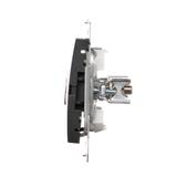 Simon 54 Gniazdo ekwipotencjalne podwójne antracyt