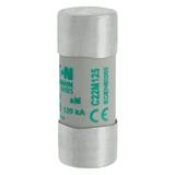 CYLINDRICAL FUSE 22 x 58 125A AM 400V AC Wkładka cylindryczna 22 x 58mm 125A AM 400V AC C22M125 EATO