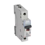 WYŁĄCZNIK NADPRĄDOWY S 311 1P B 25A 10000A SERII TX3, Legrand