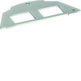 tehalit.VE-EE Płytka montażowa 2xRJ Typ 05 Large Keystone/ AMP 20,1x14,8 BSM052 HAGER
