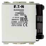 FUSE 350A 1000V 2BKN/75 AR UR Wkładka szybka 350A AC 1000V rozmiar 2 59x77x75 mm aR IEC UL 170M5954