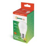 LED KULKA  E-27 230V 6W WW SPECTRUM