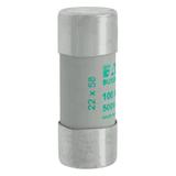 CYLINDRICAL FUSE 22 x 58 100A AM 500V AC Wkładka cylindryczna 22 x 58mm 100A AM 500V AC C22M100 EATO