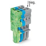 1-przewodowe gniazdo