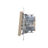 Simon 55 Przycisk zwierny /światło/ z podświetleniem LED szybkozłączka Szampański mat