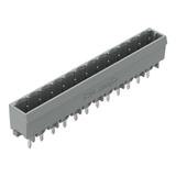 MCS-MIDI Classic wtyk 12-bieg. szary raster 5 mm /100szt./ WAGO