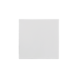 Simon 55 Klawisz pojedynczy do: SW1M SW6M SW7M SP1M Jasnoszary mat