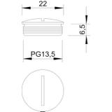 168/MS, ZAŚLEPKA GWINT.PG13,5 MS/NIKL.