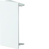 tehalit.LFS Końcówka, 60x100mm, biała LFS6010069016 HAGER