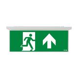 NexiTech LED opal szyba strzałka do góry/ zaślepka 20m ISO7010 NEXI-PLEXO-20-UB EATON