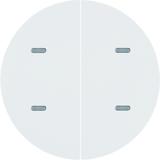 BERKER KNX e/s R.x/Serie 1930 Przycisk podwójny z diodami LED RGB i czujnikiem temperatury biały poł. 80162869 HAGER