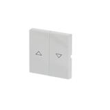 CARAT/FUTURE/SOLO/AXCENT  Klawisz z nadrukiem Do wyłącznika/przycisku żaluzjowego biały studyjny