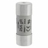 Fuse 25A 690VAC gR 22x58 with Ind Wkładka szybka 25A AC 690V 22x58 gR IEC UL wybijak FWP-25G22FI EAT