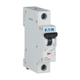 FAZ-C16/1 Wyłącznik nadprądowy 15kA C16A 1P 278561 EATON