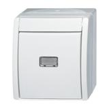 OCEAN Przycisk kołyskowy wyłącznik schodowy Z neutralnym (przezroczystym) okienkiem 1-biegunowy, Z z