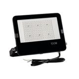 FL AGOR/A PRO 100W NW