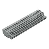 MCS-MIDI Classic gniazdo 21-bieg. szare rastre 5 mm /10szt./ WAGO