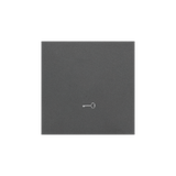 Simon 55 Klawisz pojedynczy z piktogramem /klucz/ do łączników/przycisków Grafitowy mat