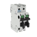 2 Pole Comp Ckt Protect 30A Rozłącznik bezpiecznikowy CCP 600VAC 125VDC 30A UL98 2P 60 Hz Kl CCP2-2-