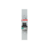 S801S-D6-R Wyłącznik nadprądowy 50kA 1P D6A 2CCS861002R0061 ABB