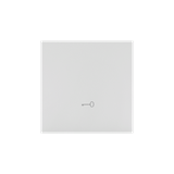 Simon 55 Klawisz pojedynczy z piktogramem /klucz/ do łączników/przycisków Jasnoszary mat