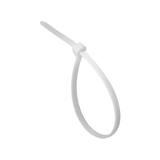 TYB*_25_M_0011.94