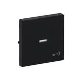 FUTURE Klawisz z symbolem "klucz" Do przycisku zwiernego czarny matowy