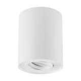 Oprawa sufitowa HARY C GU10 WHITE