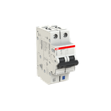 S401M-K2NP wyłącznik nadprądowy SMISSLINE 2CCS571103R8277 ABB