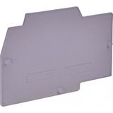 Płytka skrajna do ESC-SFR.6 ESC-SFR.6/PT 003903062 ETI