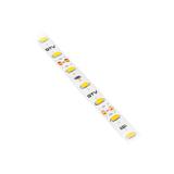 TAŚMA FLASH 5630, 300 LED CIEPŁY BIAŁY, 80W BEZ ŻELU 10MM, ROLKA 5M