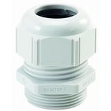 SKINTOP ST-M 20X1,5 RAL 7035 JASNO SZARY