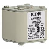 FUSE 250A 690V 1GN/50 AR UC Wkładka szybka 250A AC 690V rozmiar 1 53x69x51 mm aR IEC UL w 170M4509 E
