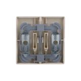 CARAT/FUTURE/SOLO Klawisz z nadrukiem Do wyłącznika/przycisku żaluzjowego kość słoniowa