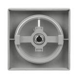 FUTURE Pokrywa z pokrętłem i lampką neonową Podwyższona konstrukcja Do ściemniaczy Busch-Dimmer alum